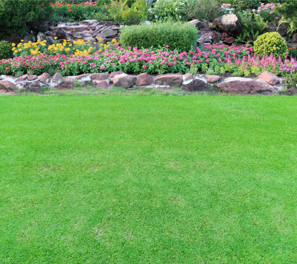 istock Garden landscape with green grass 1324324319
