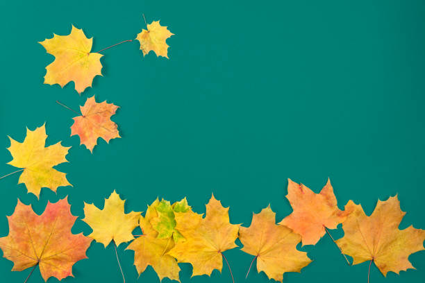 istock Autumn maple leaves on wooden table.Falling leaves natural background. 1324326085