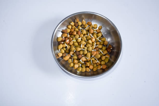il s’agit d’un gram chana frais et biologique germe dans le bol - legume bean lentil cereal plant photos et images de collection