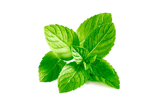 istock Mint leaves, mint leaves isolated on white background 1324331992