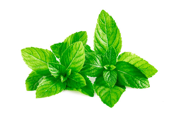 istock Mint leaves, mint leaves isolated on white background 1324332096