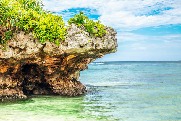 istock Emerald Beach, Ocean Expo Park, Okinawa, Japan 1324332525