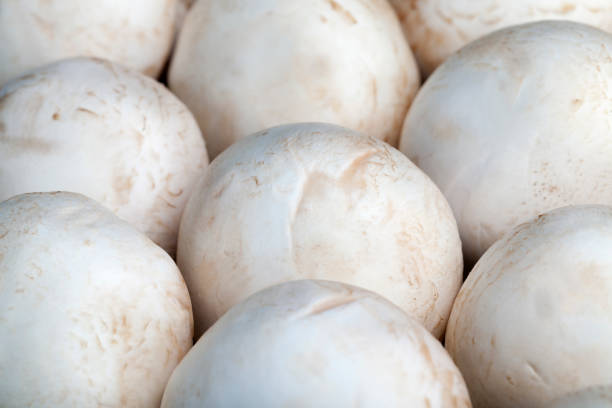 istock unwashed mushrooms champignon during cooking 1324336046