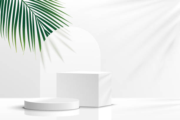 istock Modern white geometric pedestal podium with green palm leaf. Platform in shadow. Abstract white and gray minimal wall scene. Vector rendering 3d shape cosmetic product display presentation. 1324338381