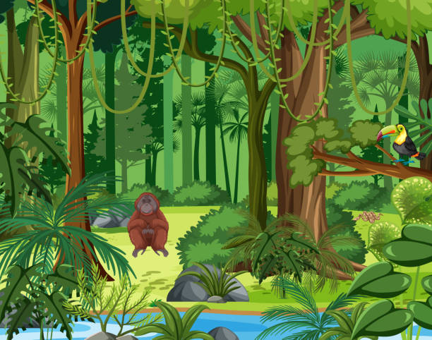 1,674 Clip Art Of Jungle Scene Illustrations & Clip Art - iStock
