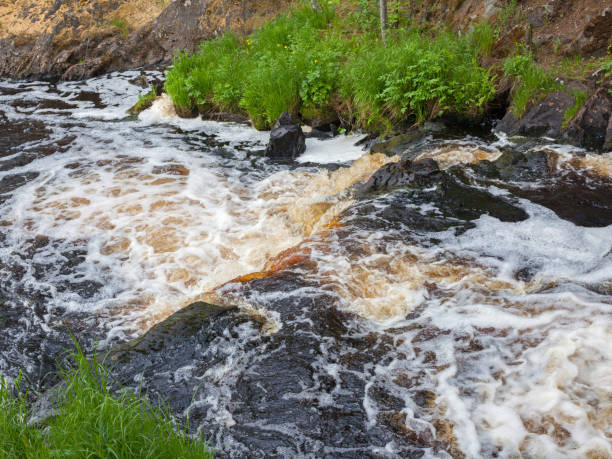istock Summer view of river water and banks 1324343274