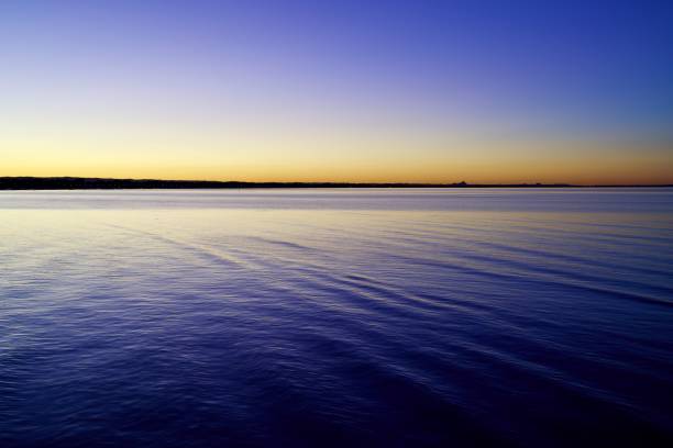 istock A gold and violet Bramble Bay 1324343882