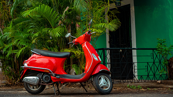 Red scooter parked against green background at the street