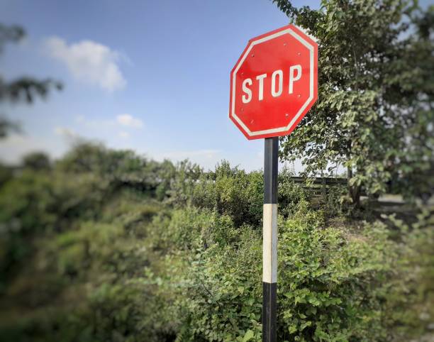 istock Speed limit sign at the street 1324345851