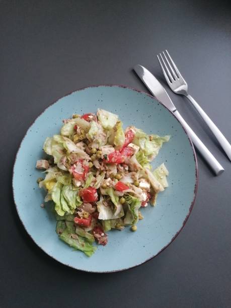 grüner salat mit thunfisch - tuna salad sandwich stock-fotos und bilder