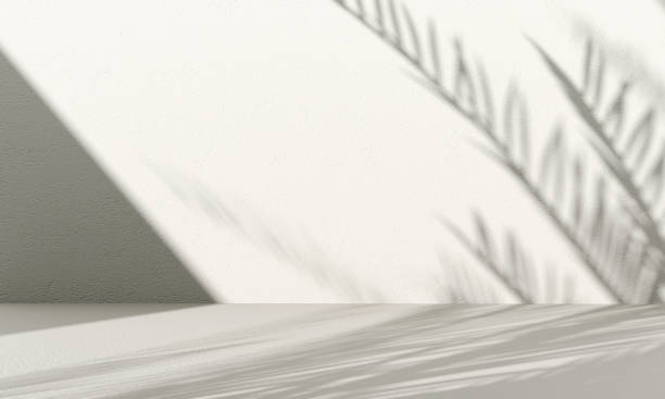 illustrations, cliparts, dessins animés et icônes de mur blanc vide avec des ombres d’arbres. rendu 3d. - stucco
