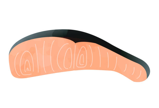 ilustrações de stock, clip art, desenhos animados e ícones de this is an illustration of grilled salmon. - fillet