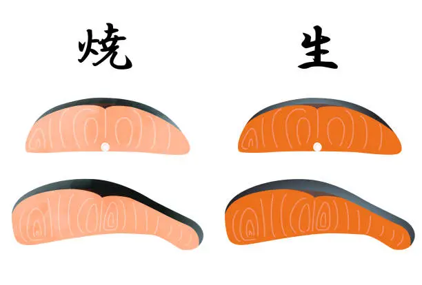 Vector illustration of This is an illustration of raw salmon and grilled salmon fillets.