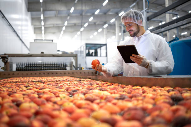 リンゴの果物の選択と生産のプロセスを制御する食品加工工場の技術者。 - apple ipad ストックフォトと画像