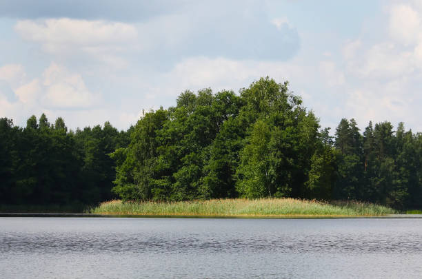 istock Lake landscape in Latvia 1324350774
