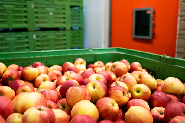istock Apple fruit waiting to be moved into cold storage in food processing factory. 1324351605
