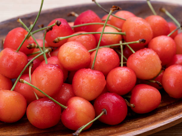 istock Japanese cherries named 