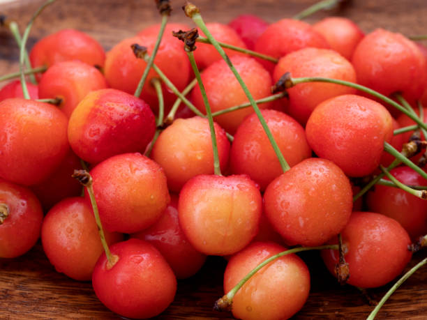 istock Japanese cherries named 