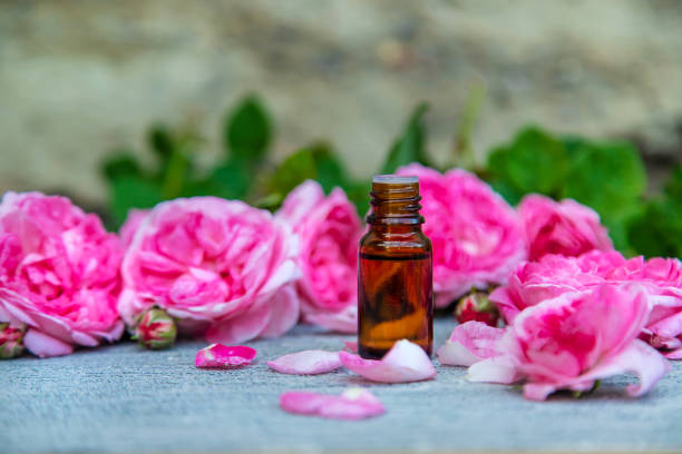 istock Essential oil extract of tea rose. Selective focus. 1324352629