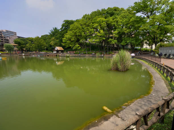 istock Mitsugi Park in Itabashi-ku, Tokyo 1324352917