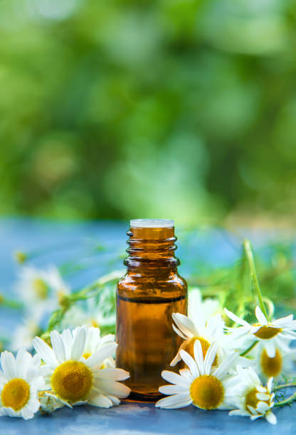 istock Essential oil extract of medicinal chamomile. Selective focus. 1324352928