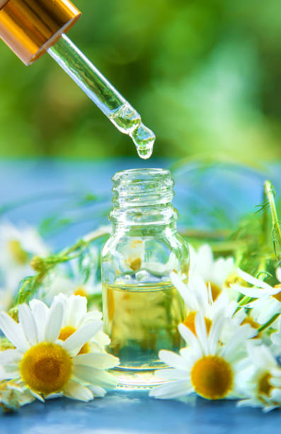 istock Essential oil extract of medicinal chamomile. Selective focus. 1324352939