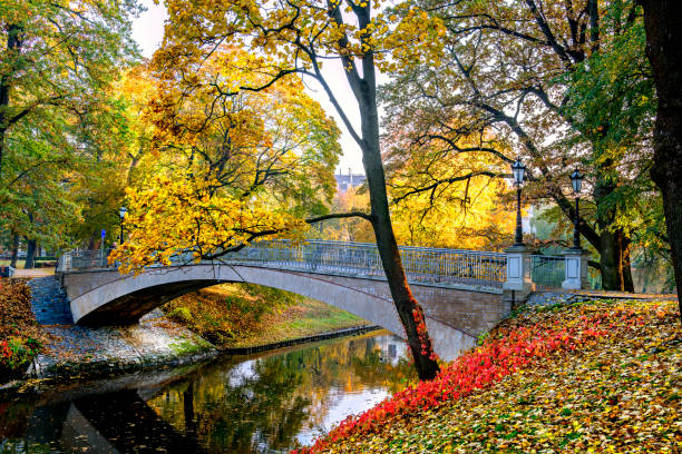 istock Autumn in central public park in Riga 1324357553