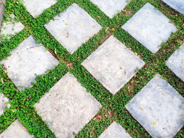 istock garden floor decoration 1324361017