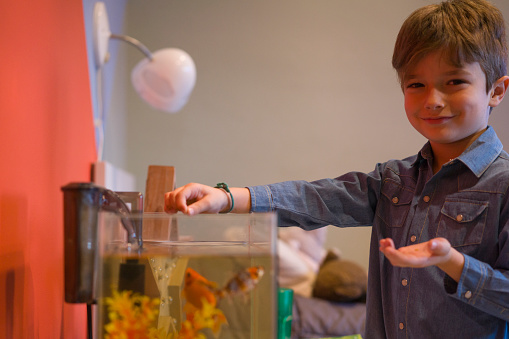 Portrait of a happy young boy feeding the fishes that are in home fishbowl