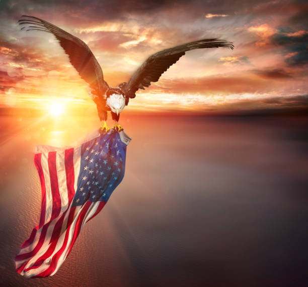 adler mit amerikanischer flagge fliegt in freiheit bei sonnenuntergang - vintage getönt - patriotismus stock-fotos und bilder