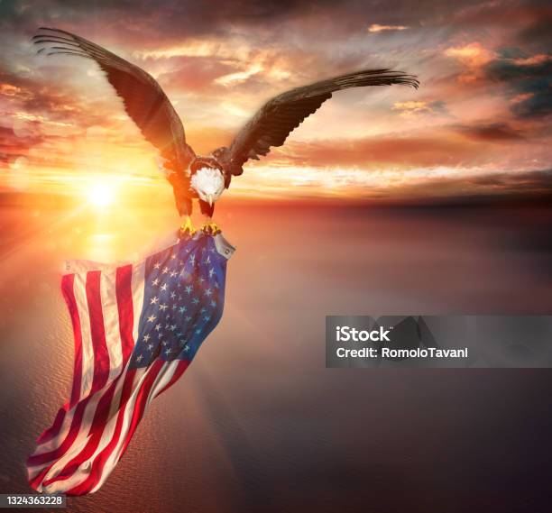 Eagle With American Flag Flies In Freedom At Sunset Vintage Toned Stock Photo - Download Image Now