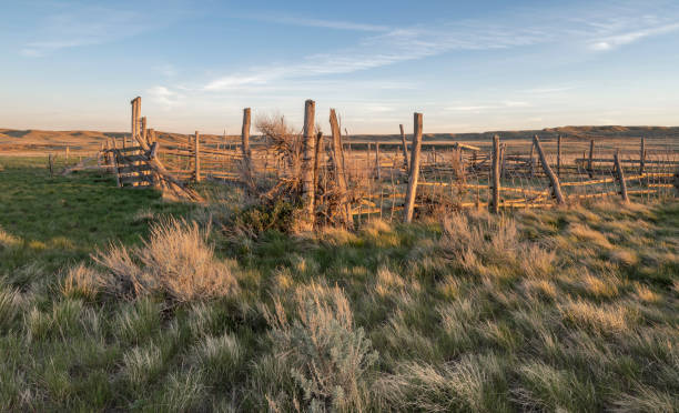 istock Old Corral in Grasslands near Val Marie 1324367189