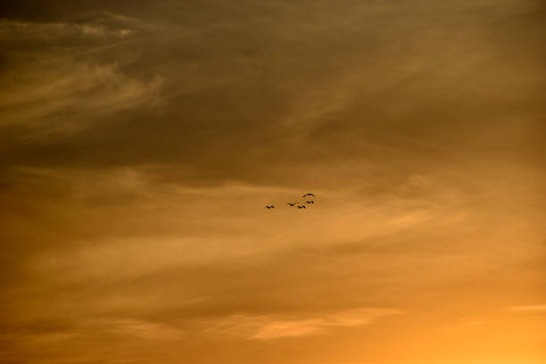 istock Sunset sky with clouds in the evening in summer 1324369709