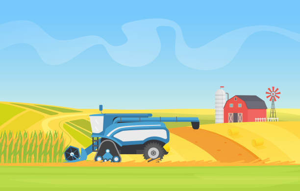 кукуруза комбайна машина работает в сельскохозяйственном поле, обрезки зерновых растений - agriculture field tractor landscape stock illustrations