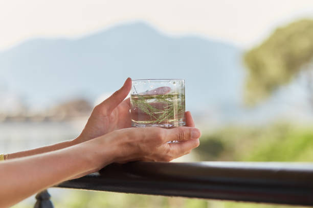 Girl holds in her hands a glass of homemade cocktail with herbs in front of mountains. Summer wallpaper close up Girl holds in her hands a glass of homemade cocktail with herbs in front of mountains. Summer wallpaper close up. carbonated water photos stock pictures, royalty-free photos & images