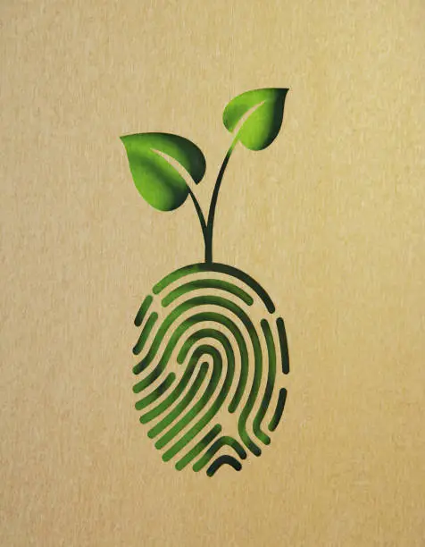 Photo of Sustainability Concept - Cut Out Leaf Shapes Made of Recycled Paper Stemming From A Fingerprint Shape on Green Background