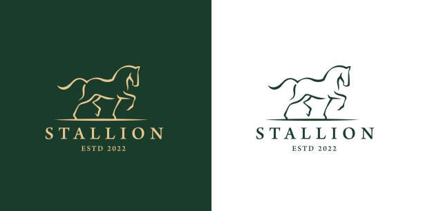 illustrazioni stock, clip art, cartoni animati e icone di tendenza di elegante icona del cavallo - stallion