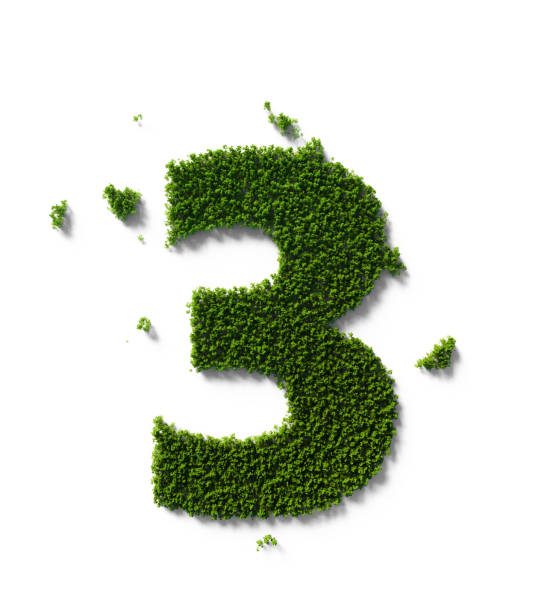 istock Sustainability Concept - Number Three Made of Green Trees Sitting On White Background 1324375045