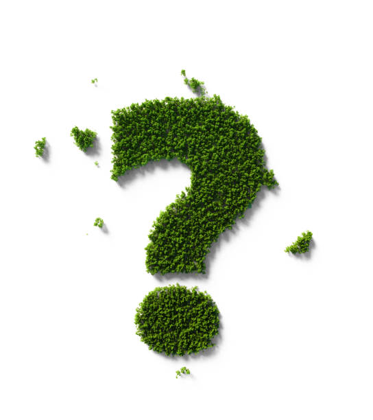 istock Sustainability Concept - Question Mark Made of Green Trees Sitting On White Background 1324376540