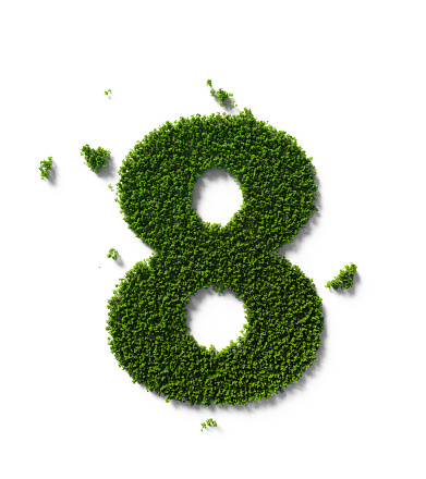 Number eight made of green trees sitting on white background. Horizontal composition with clipping path and copy space. Sustainability concept.