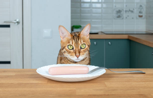 istock Bengal cat steals sausage from the table, pet bad behavior 1324377763