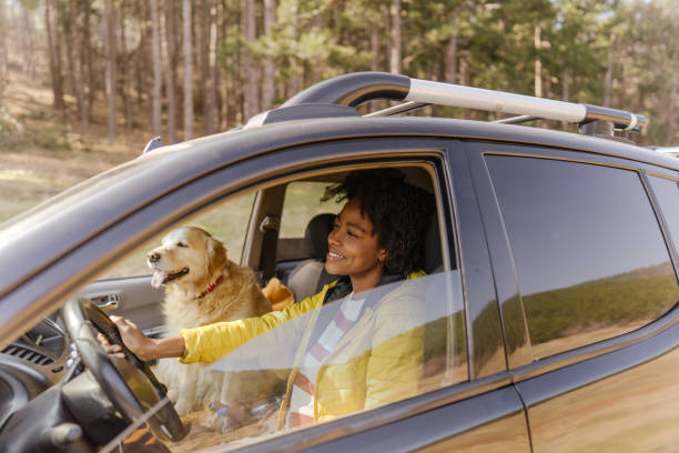 Road trip with my best friend Photo of a young smiling woman driving a car. Her dog is sitting on a passenger seat riding stock pictures, royalty-free photos & images