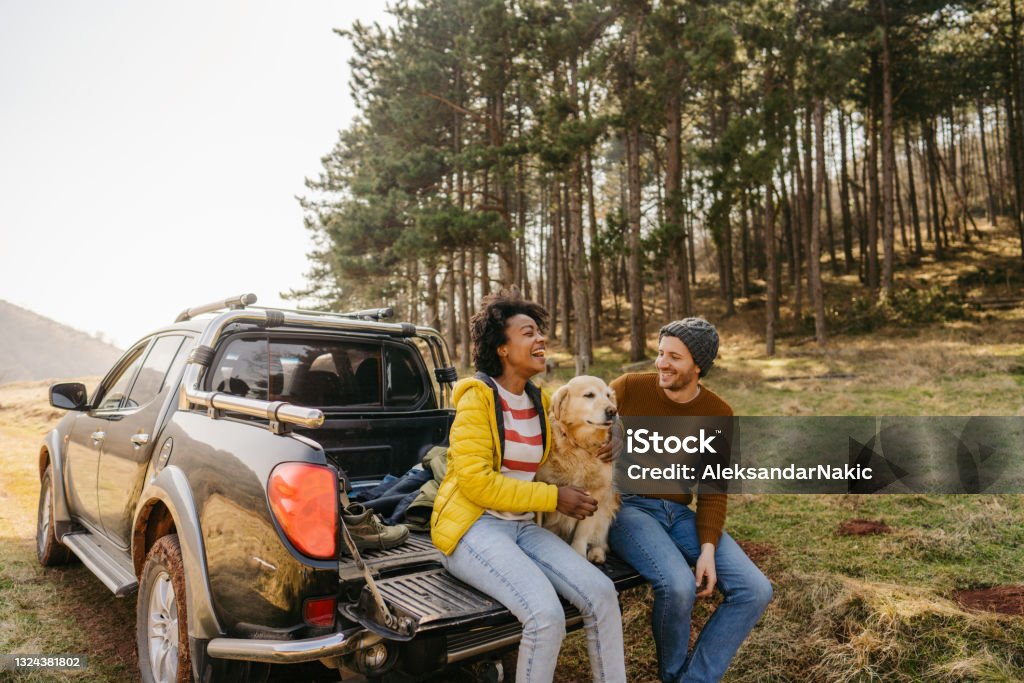 On a road trip with our dog Photo of a couple on a road trip with their dog Car Stock Photo
