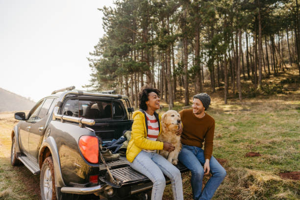 On a road trip with our dog Photo of a couple on a road trip with their dog pick up truck stock pictures, royalty-free photos & images