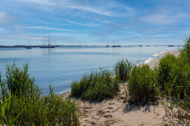 istock Sailboats on Bay 1324383029