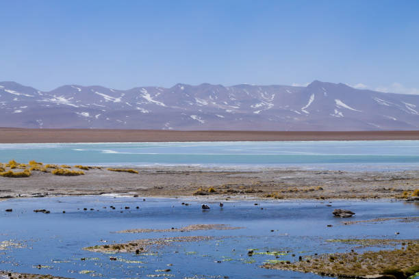 istock Bolivian lagoon landscape,Bolivia 1324384090