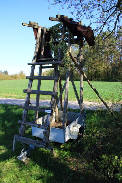 istock High seat for a hunter is mounted on a trailer 1324386611