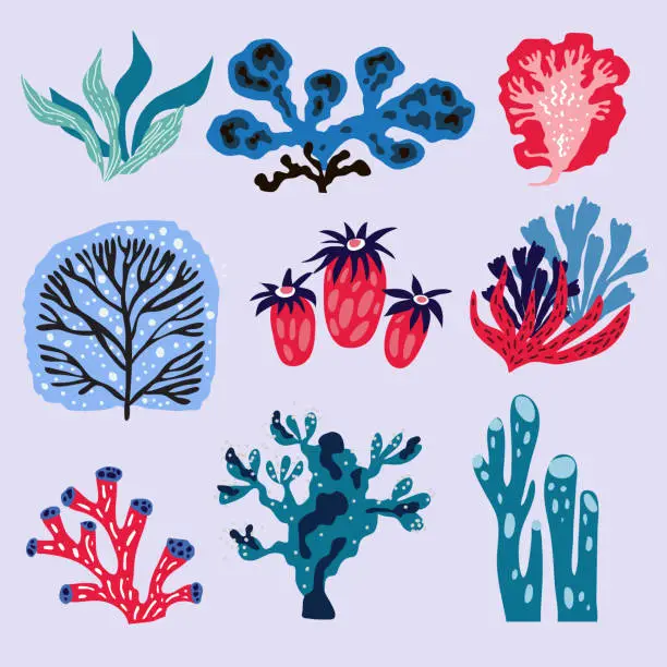 Vector illustration of Cartoon  big  set with different seaweeds  and corals.