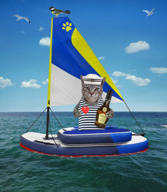 istock Cat gray sailor with rum in sailing dinghy 1324388583
