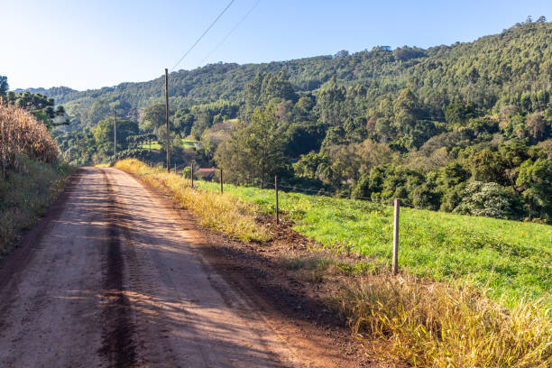 istock Farm road with field and forest 1324394106
